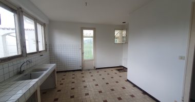 50221256.jpg