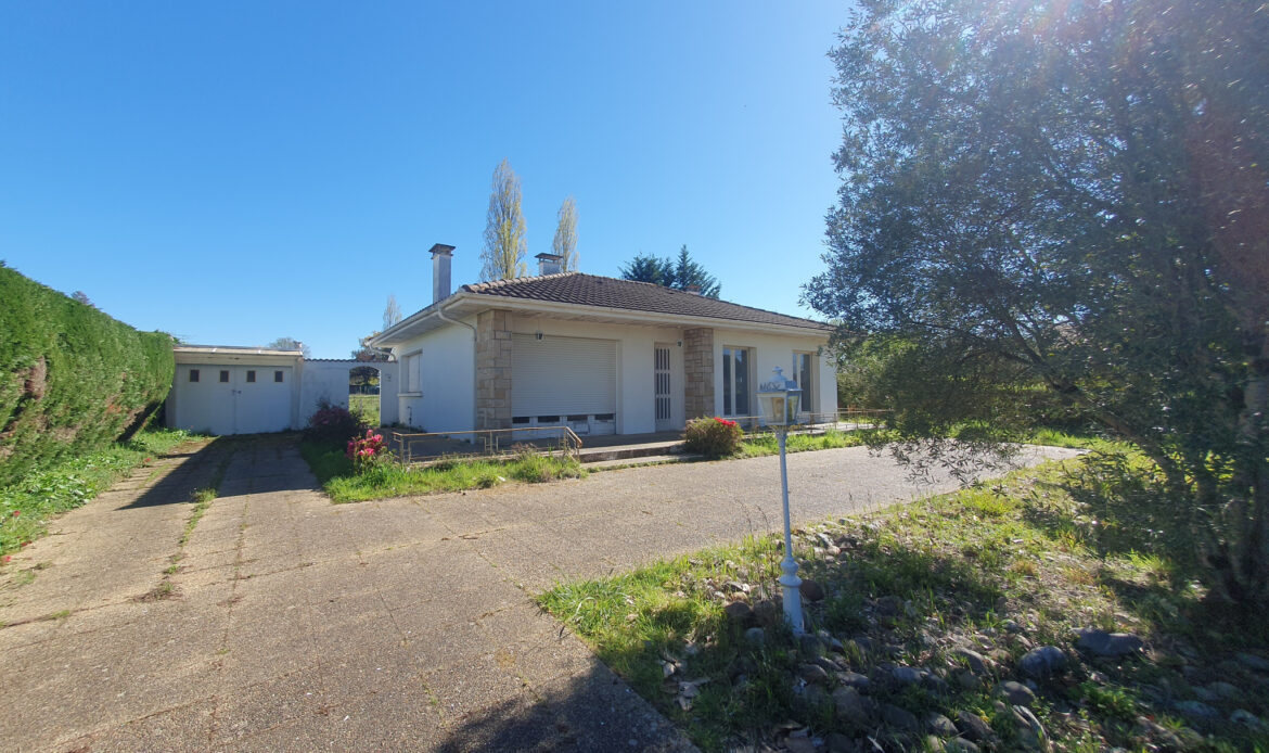 4299ca39.jpg
