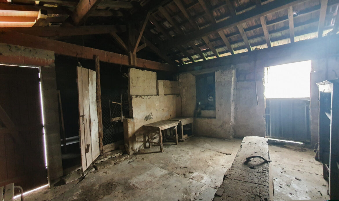1125451b.jpg
