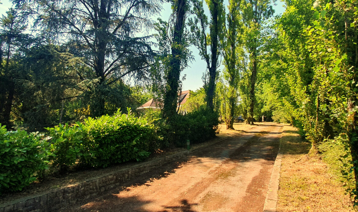 5d63c06c.jpg