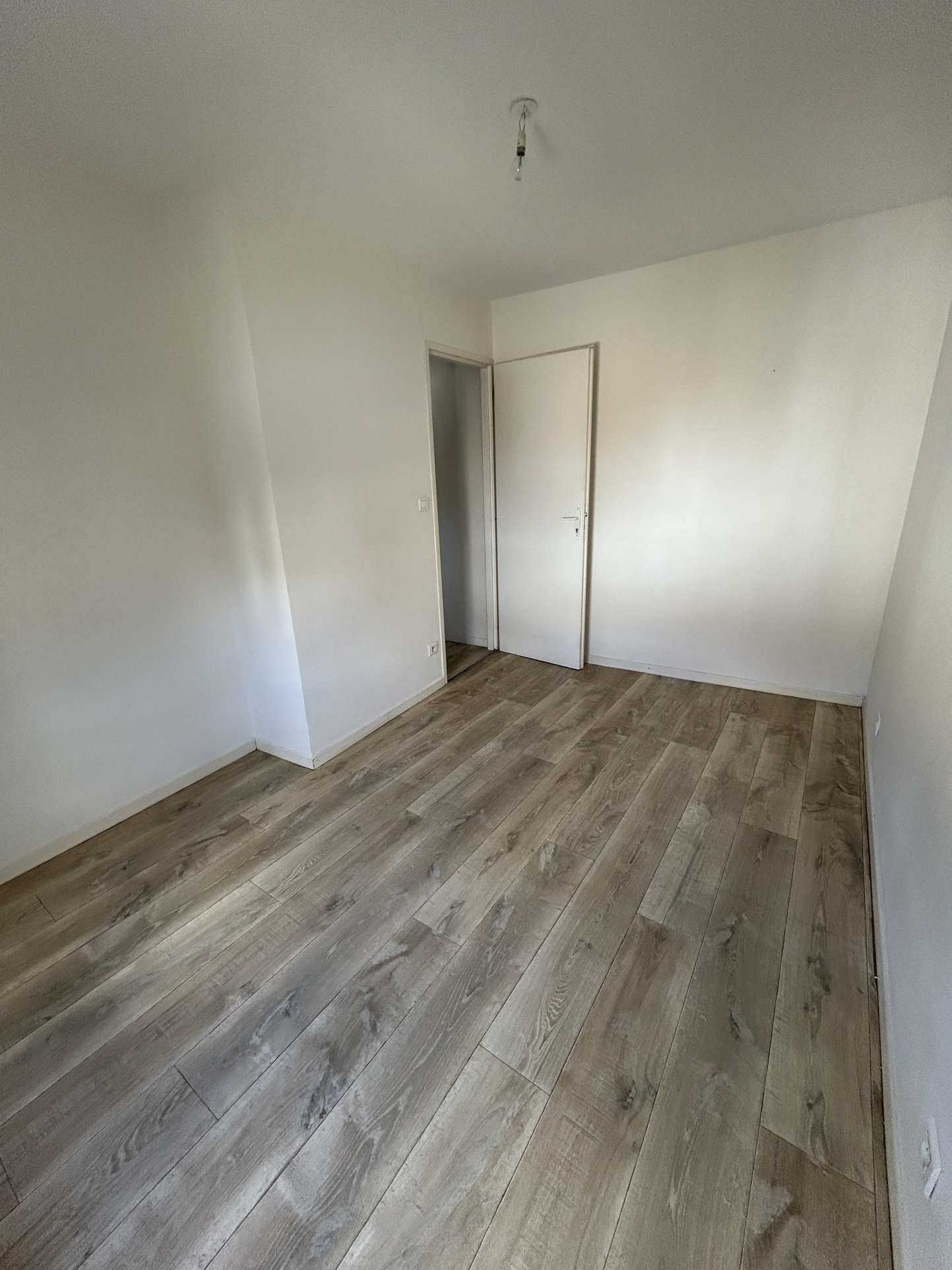 6134e573.jpg