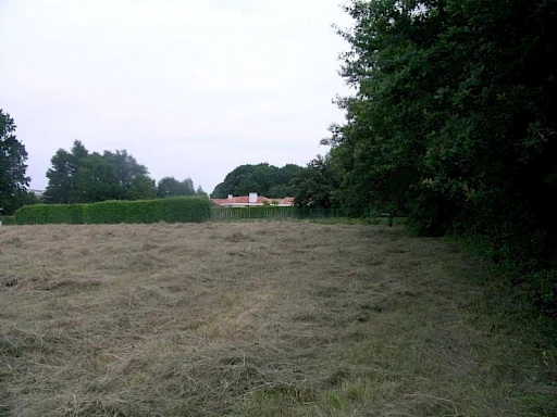 TERRAIN A BATIR DE 1084m2 - HAGETMAU PROCHE COMMODITES - 2