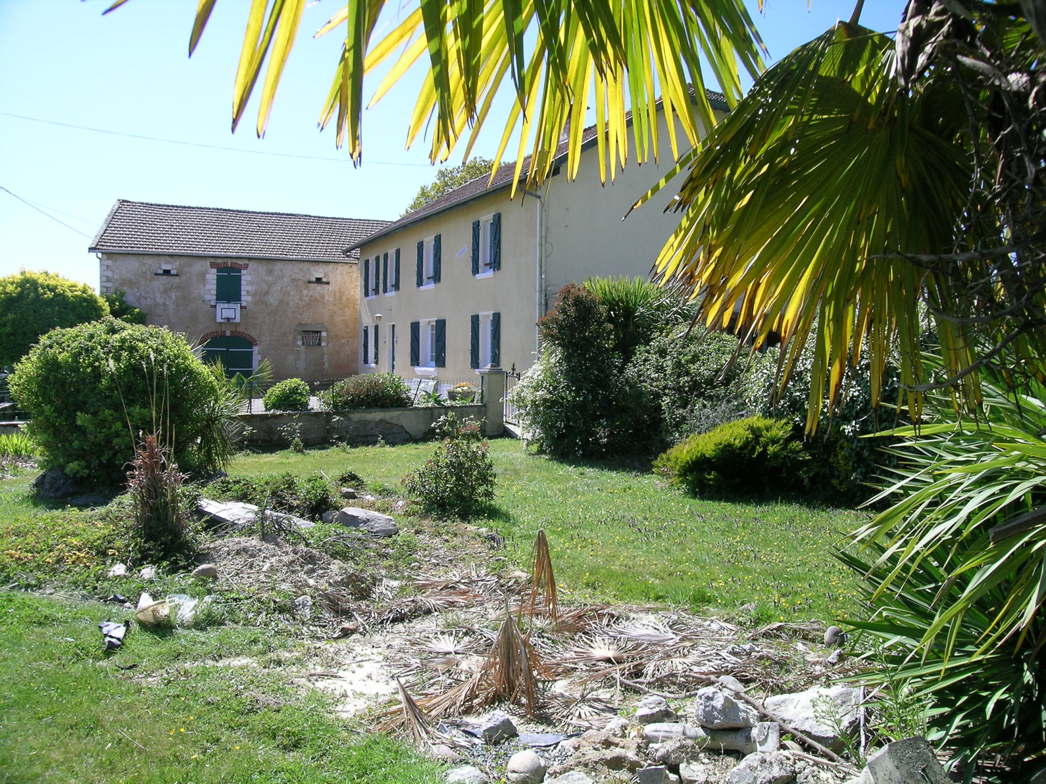 Photo 1
