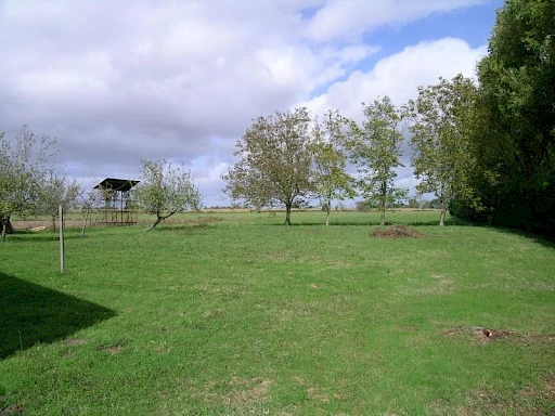 MAISON D'HABITATION de 119 m2 Hab - AUX PORTES DE HAGETMAU - 2