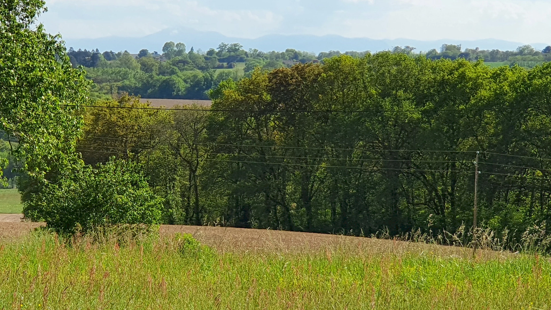 À acheter à Saint-Cricq-Chalosse : terrain de 3036m2