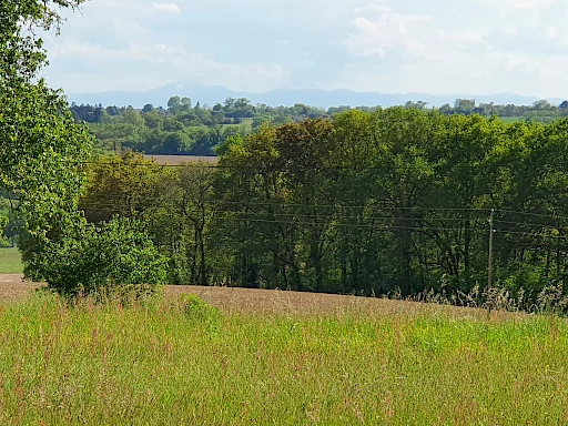 À acheter à Saint-Cricq-Chalosse : terrain de 3036m2