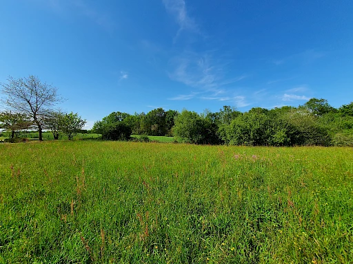 À acheter à Saint-Cricq-Chalosse : terrain de 3036m2