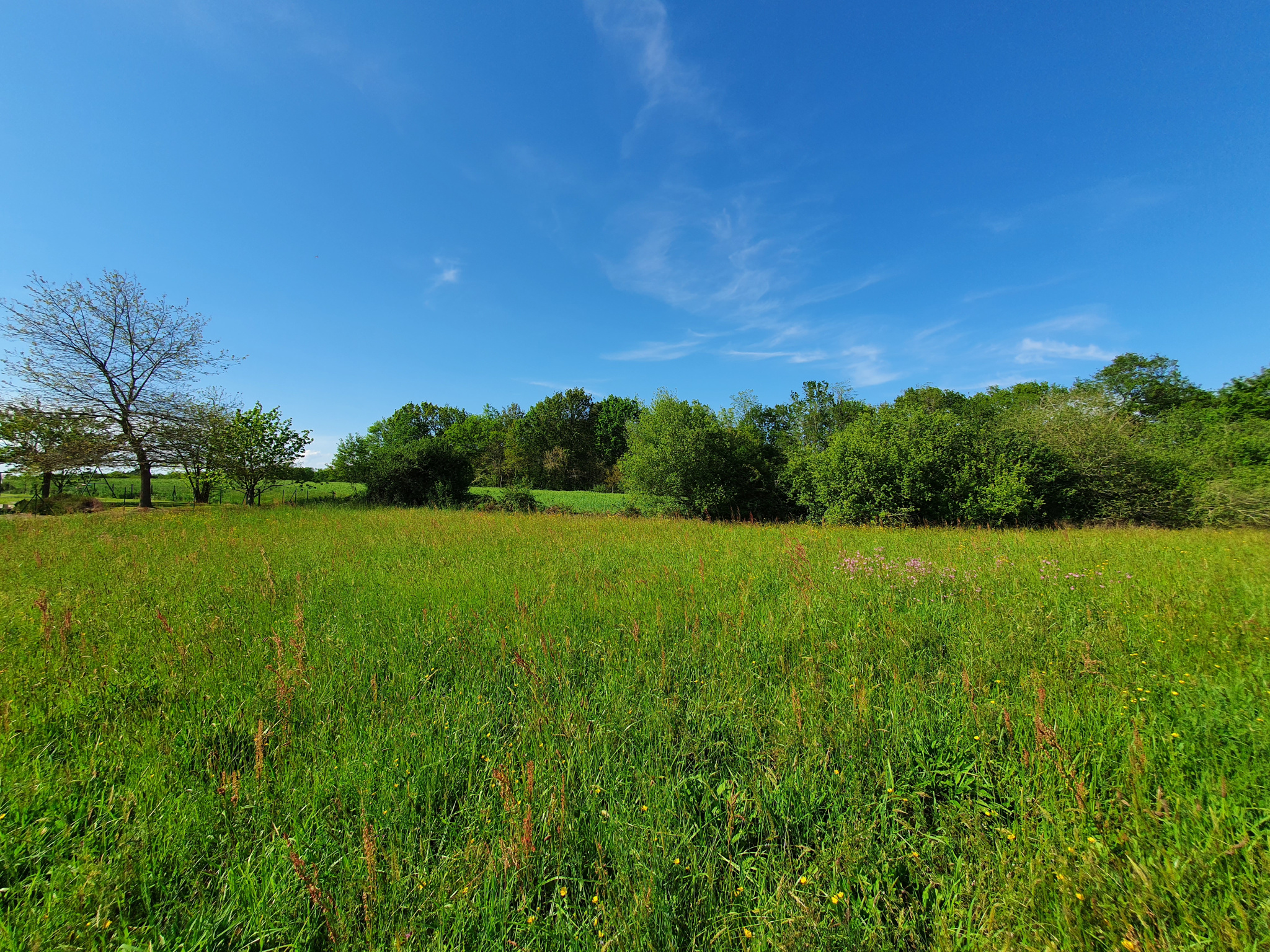 À acheter à Saint-Cricq-Chalosse : terrain de 3036m2