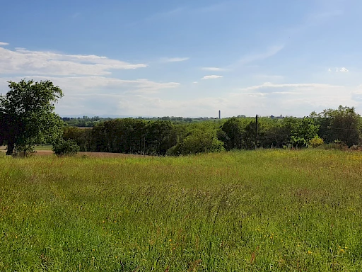À acheter à Saint-Cricq-Chalosse : terrain de 3036m2