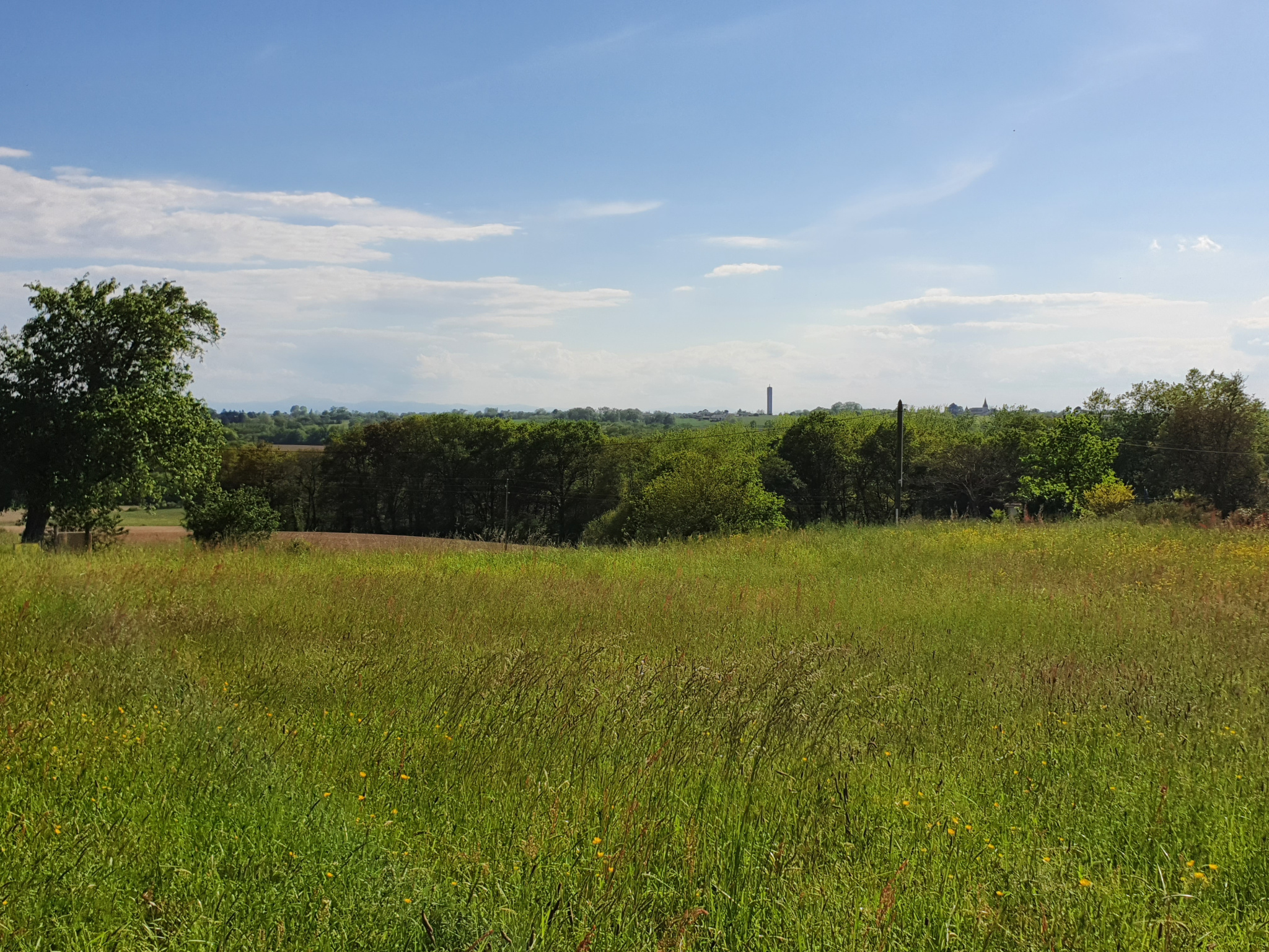 À acheter à Saint-Cricq-Chalosse : terrain de 3036m2
