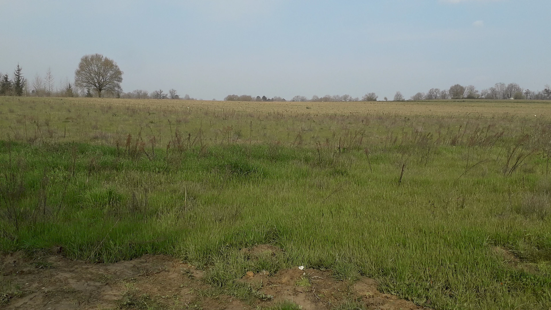 TERRAIN A BATIR