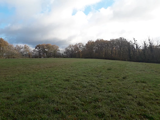 SAINT SEVER - Ferme de 100m2 - 3