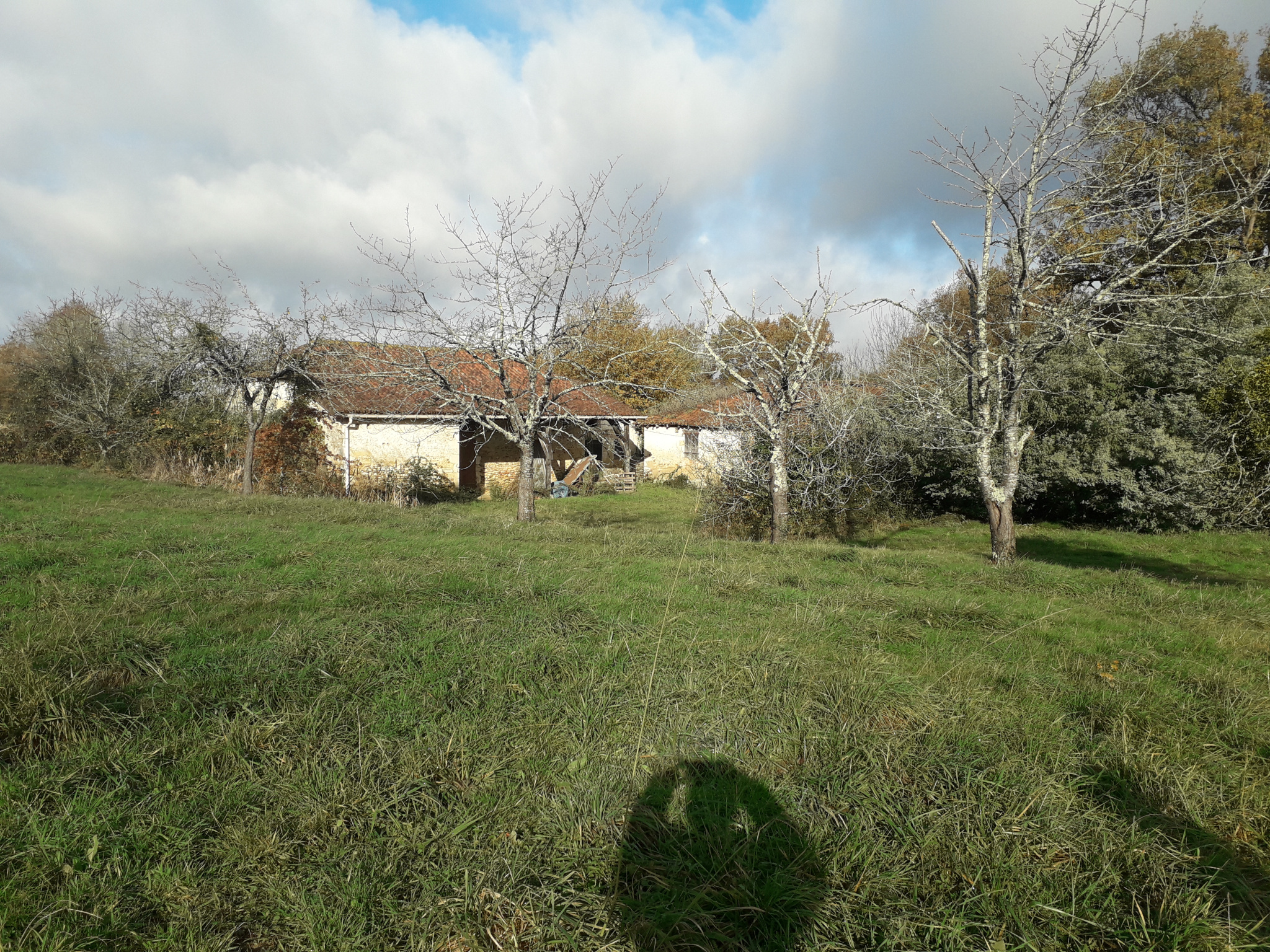 SAINT SEVER - Ferme de 100m2