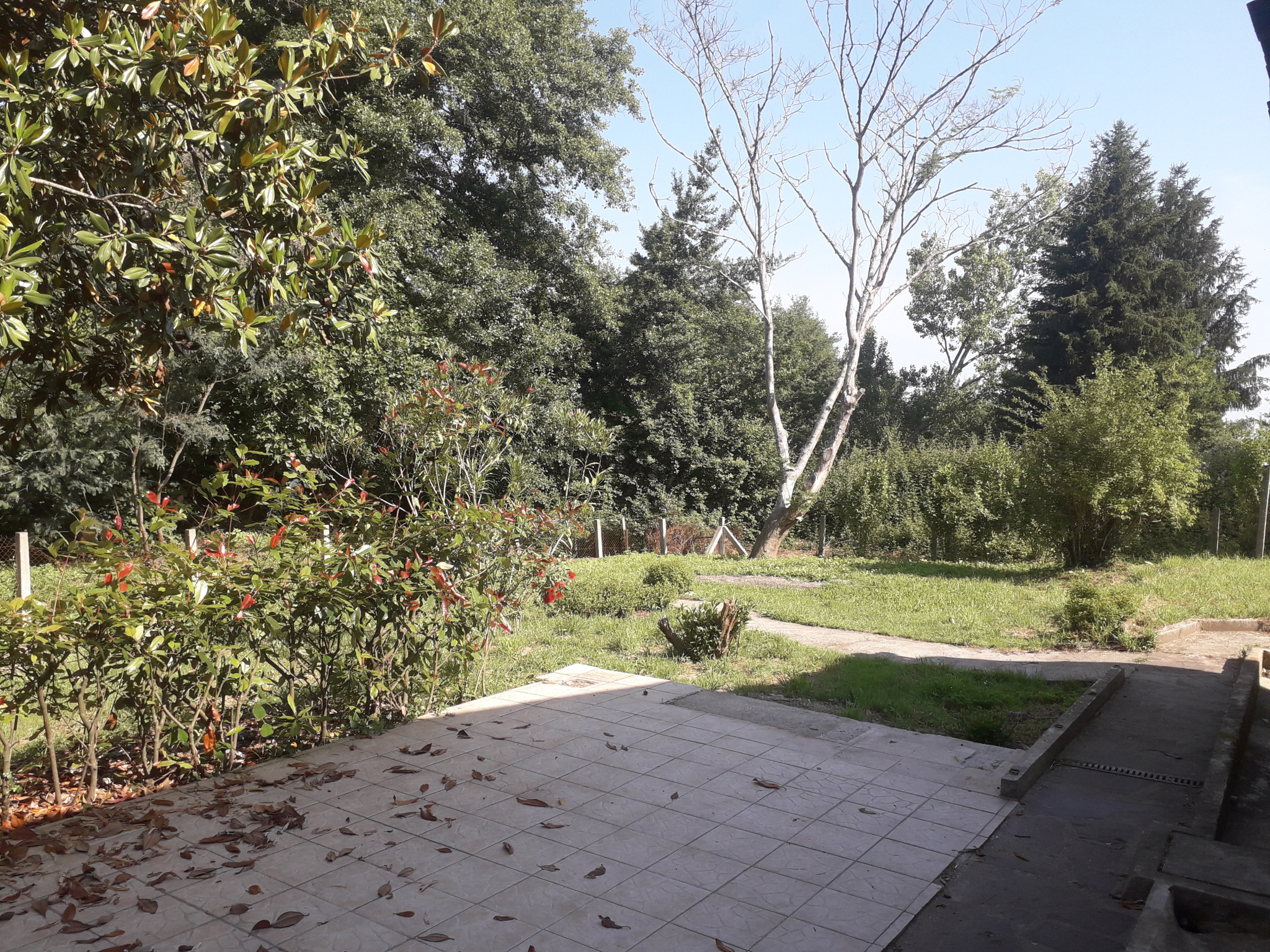 Maison 88 m2 à SAINT CRICQ CHALOSSE