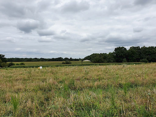 Terrain de 2779m2 en vente 22500 € à Hagetmau