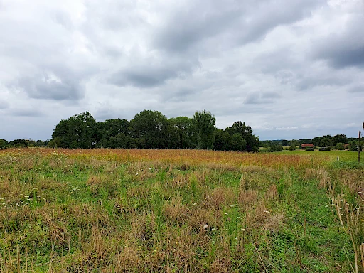 Terrain de 2779m2 en vente 22500 € à Hagetmau