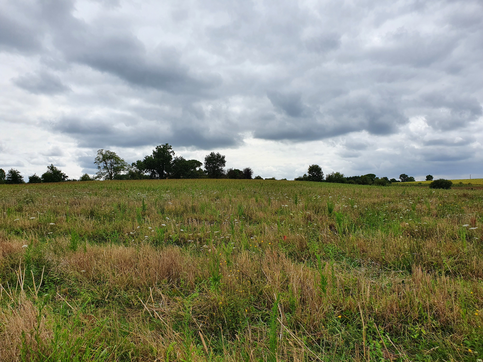 Terrain de 2779m2 en vente 22500 € à Hagetmau