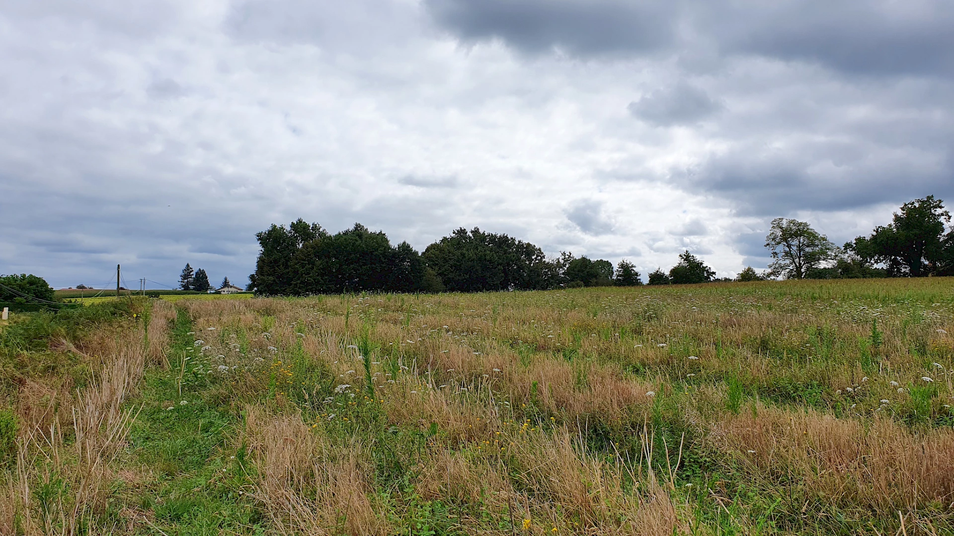 Terrain de 2779m2 à acheter 22500 € à Hagetmau