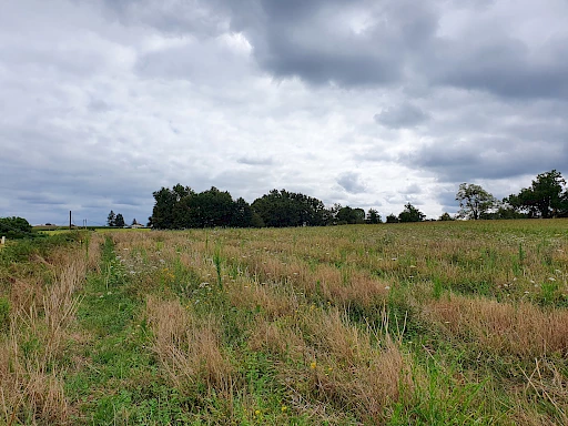 Terrain de 2779m2 à acheter 22500 € à Hagetmau