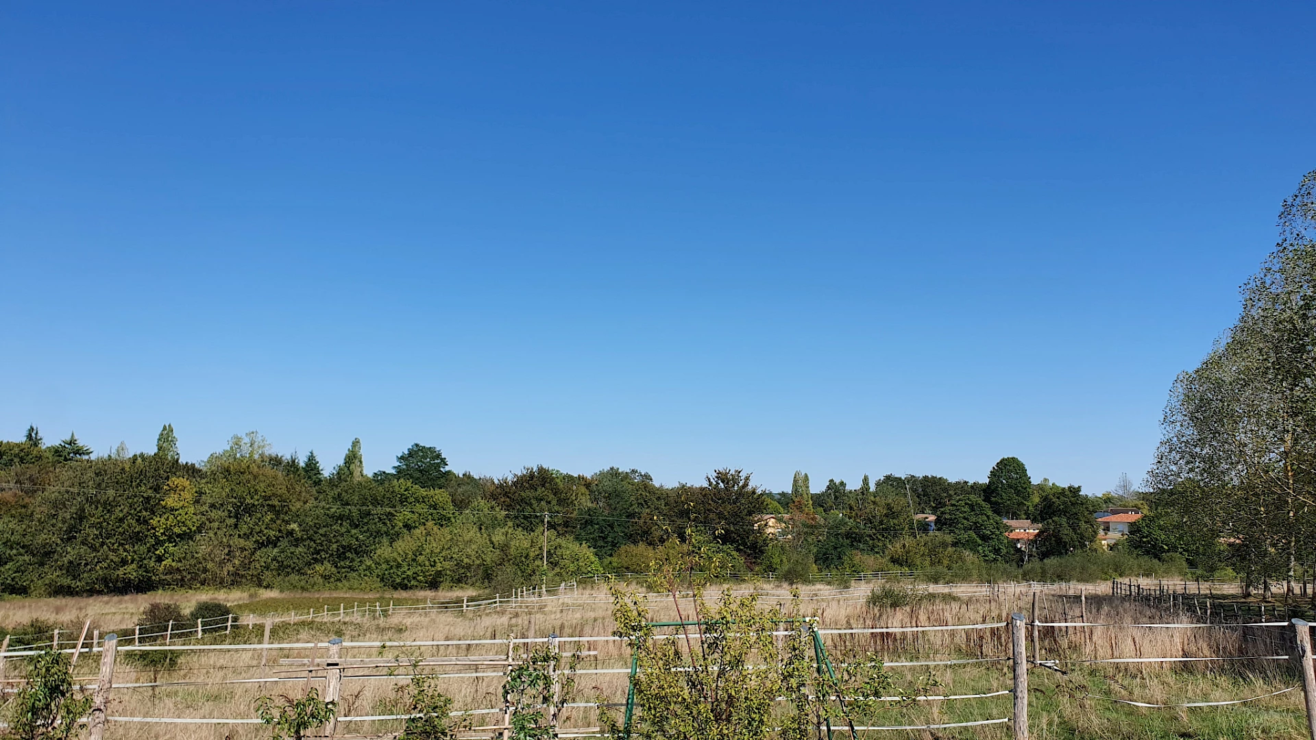 Terrain de 18 479m2 à acheter 55500 €
