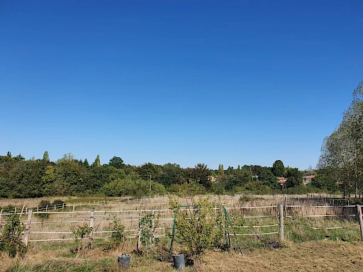 Terrain de 18 479m2 à acheter 55500 €