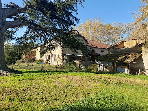 Ferme 6 pièces à acheter à Saint-Sever avec SN AGENCE TACHON - 1